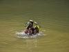 th_DSC_0056