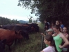 th_Vareni_(75)