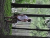 th_DSC_0239