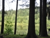 th_DSC_0254