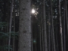 th_DSC_0299
