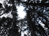 th_DSC_0351