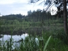 th_DSC_0363