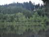 th_DSC_0365