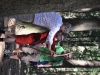 th_DSC_0613