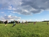 th_IMG_2636