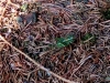 th_IMG_20160711_184441