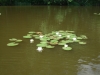 th_DSCF9324