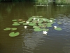 th_DSCF9325