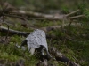 th__DSC0062