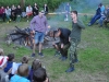 th_DSC_0223