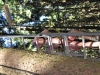 th_DSC_0716