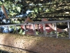 th_DSC_0717