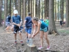 th_IMG_20160709_172848