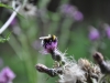 th_DSC_0169