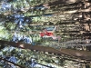 th_DSC_0460