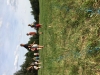 th_IMG_2462