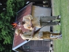 th_DSC_0021