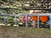 th_DSC_0648