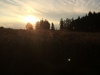 th_IMG_2827