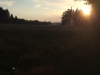 th_IMG_2828