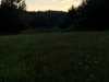 th_IMG_2833