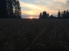 th_IMG_2860