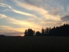 th_IMG_2863