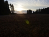 th__DSC0091