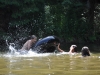 th_DSC_0060