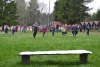web_DSC_0032