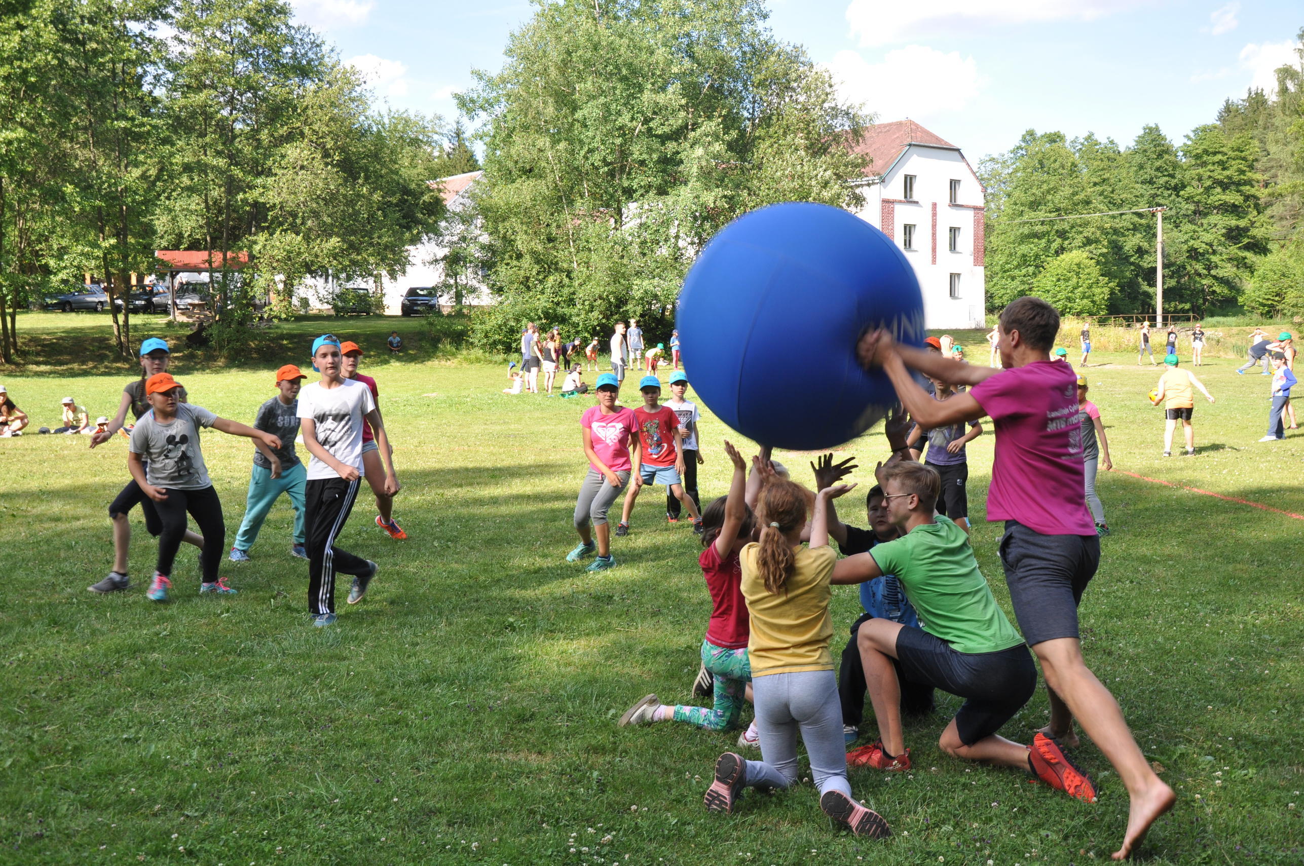 th_123 (281)