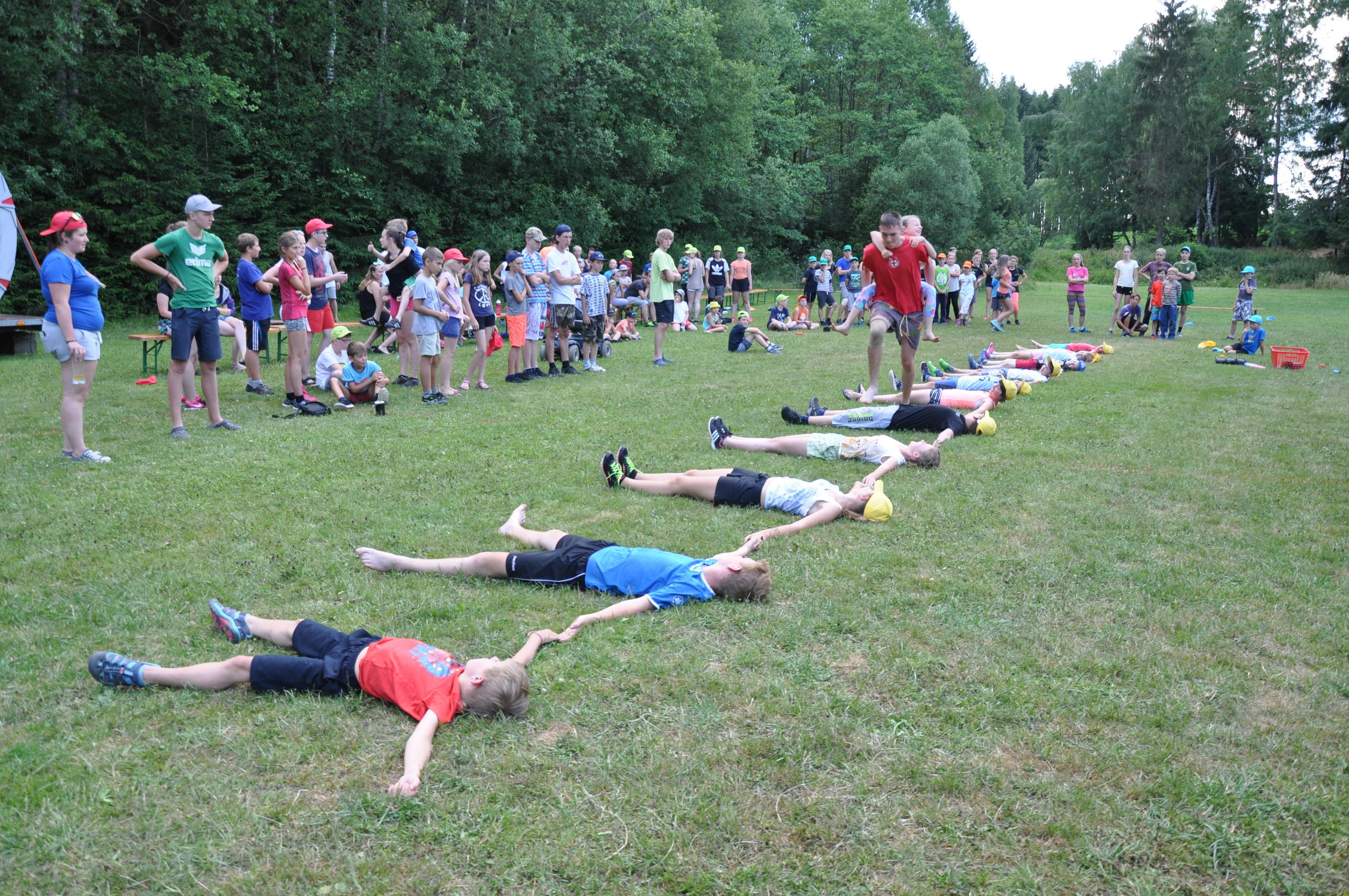 th_2345 (235)