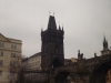 web_dscf9534