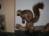 web_DSC_0734