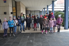 Ledová Praha 2019