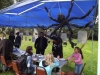 web_dscf5577