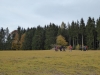 th_P1000460