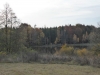 th_P1000498
